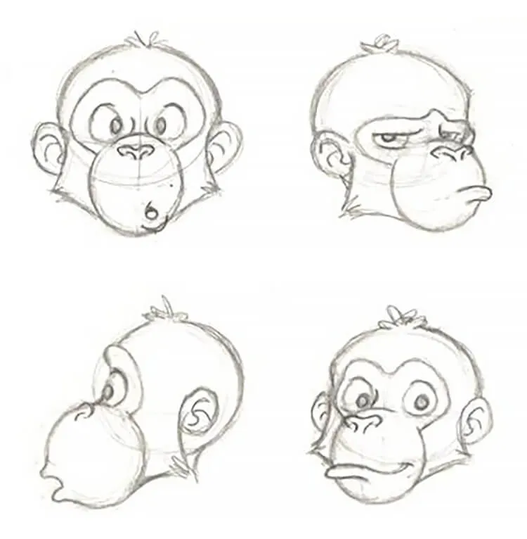 małpa rysunek ołówkiem