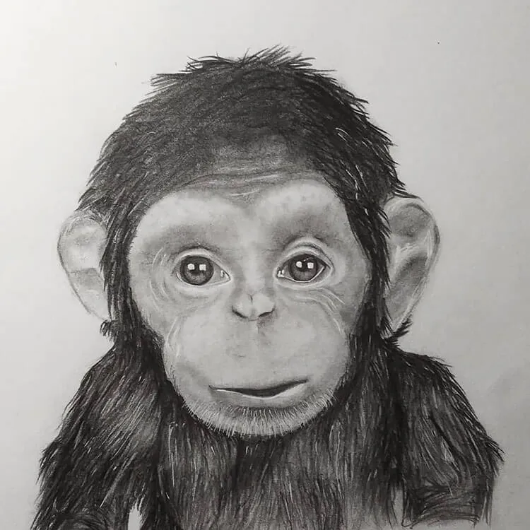 rysunek małpki