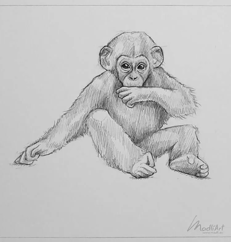 szkic małpki dziecka