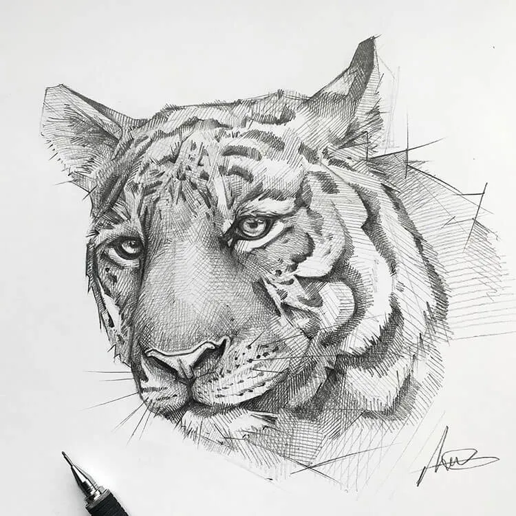 linework tiger tegning