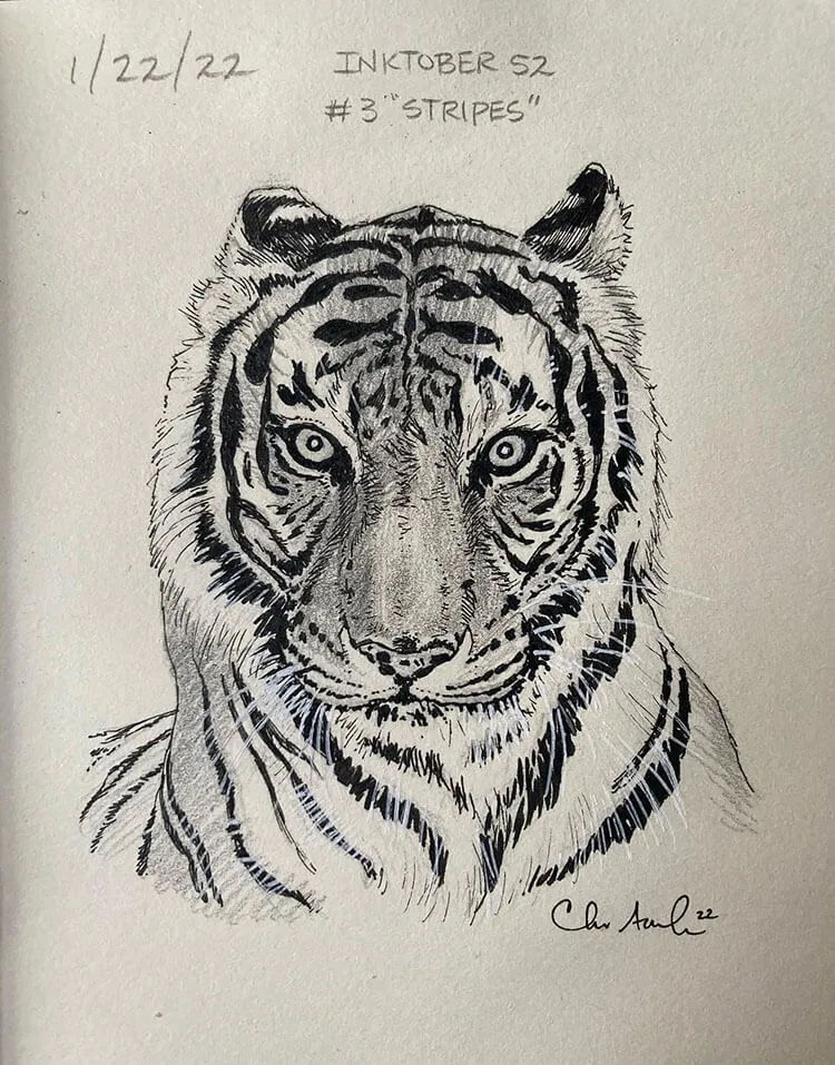 Harimau dengan Arsiran Pensil di Atas Tinta