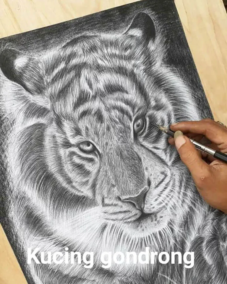 Disegno di tigre realistico