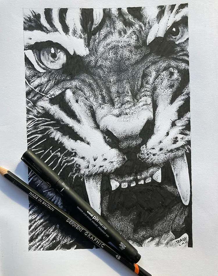 Gambar Harimau Mengaum