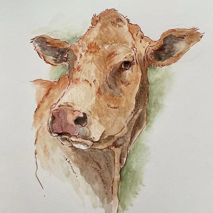 茶色の水彩画の牛