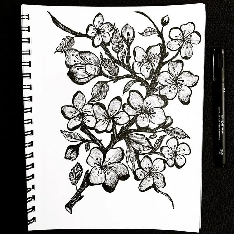 flores de cerezo en blanco y negro