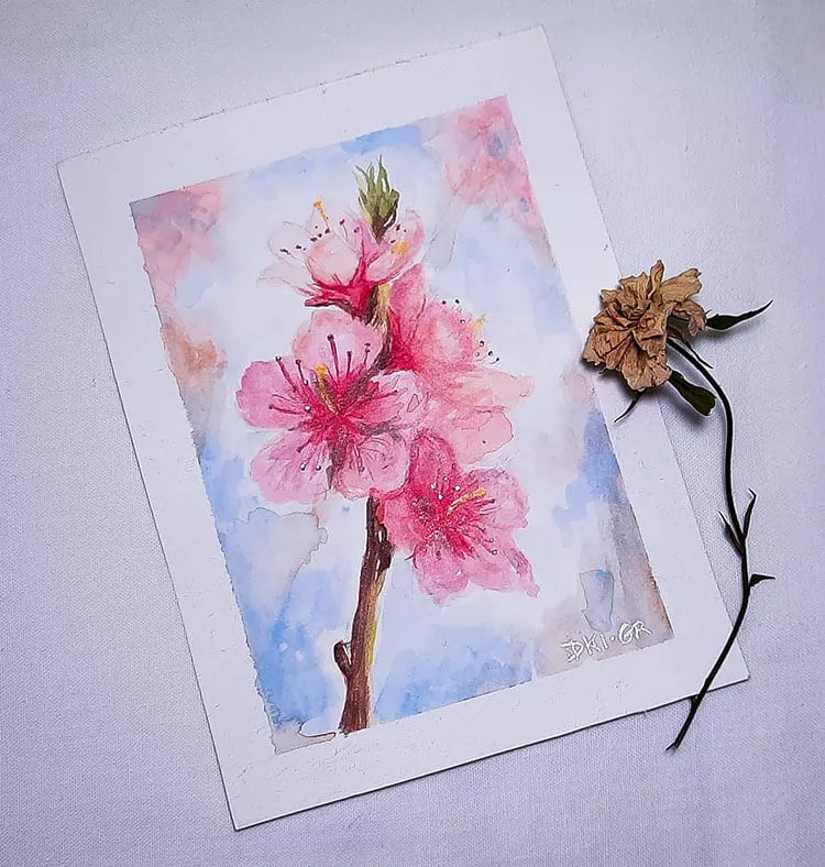 aquarel sakura schilderij