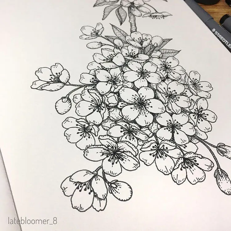 schattige sakura tekening