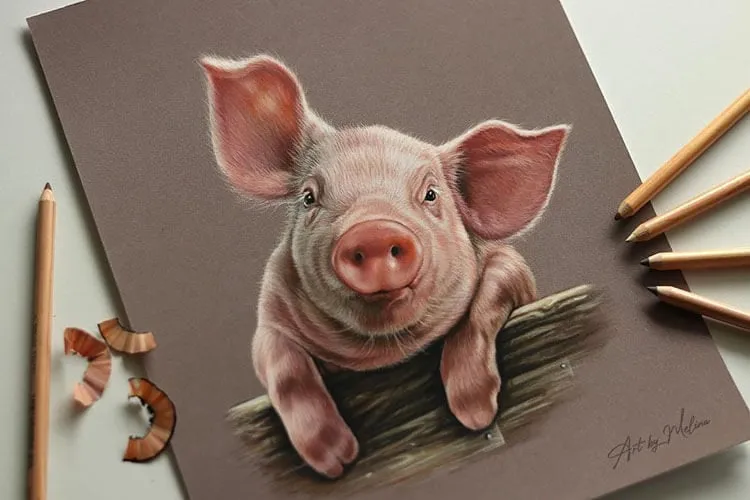 Dessin de cochon réaliste