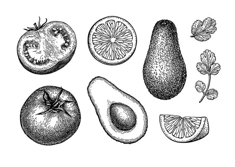 Dibujo de ingredientes de guacamole
