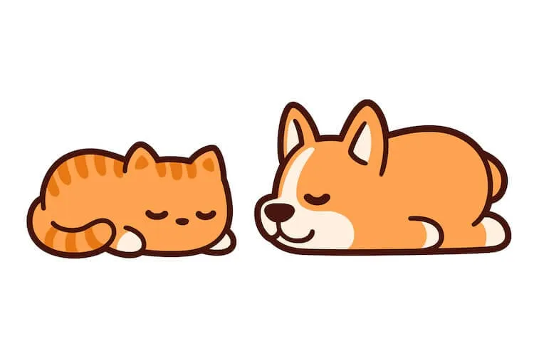 Γάτα και σκύλος που κοιμούνται