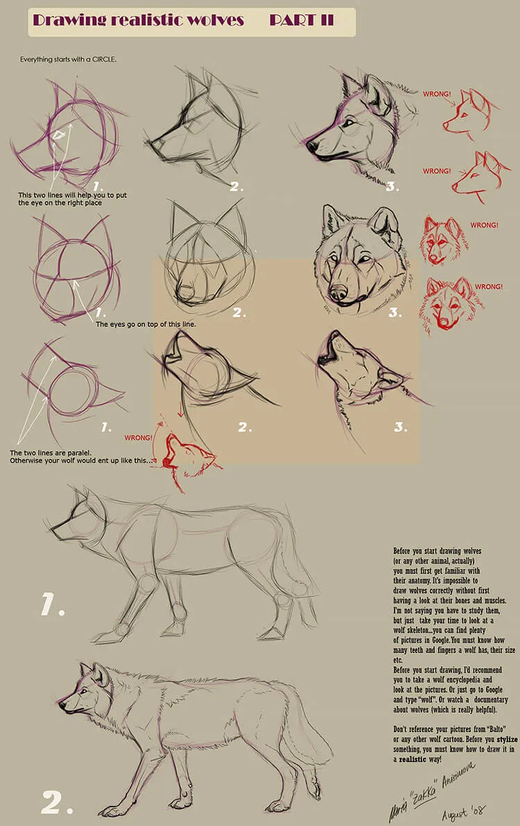 COMO DESENHAR UM LOBO REALISTA