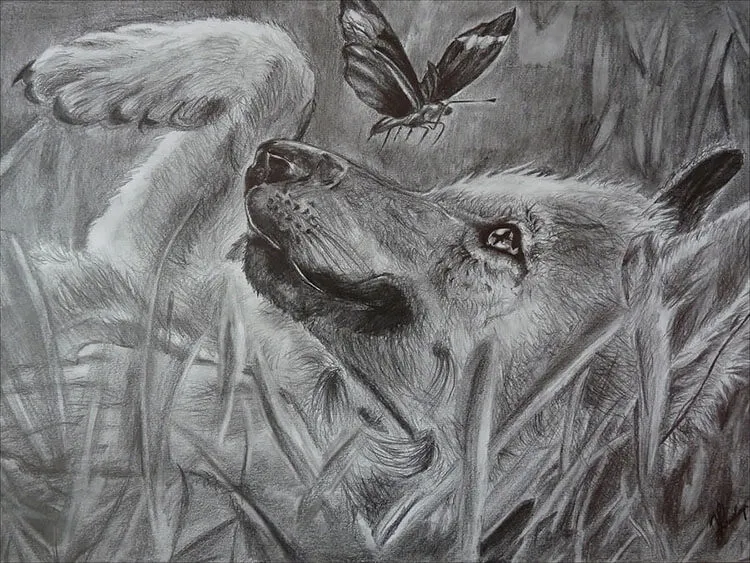 DESENHO DE FILHOTE DE LOBO COM BORBOLETA