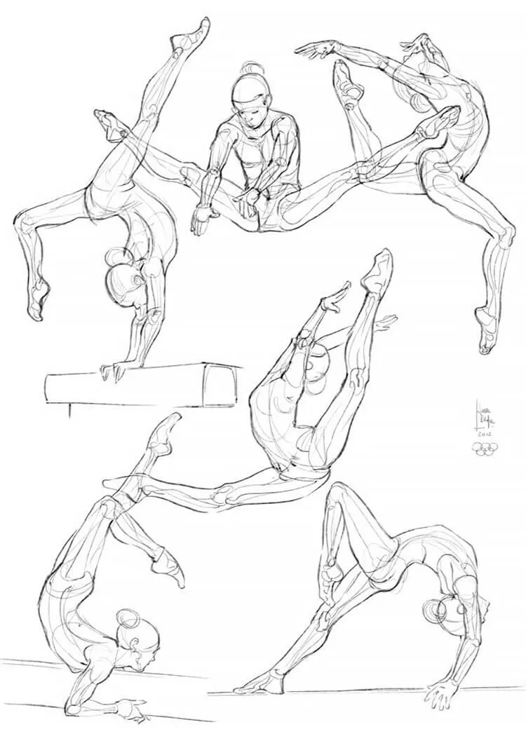 anatomija gimnastike