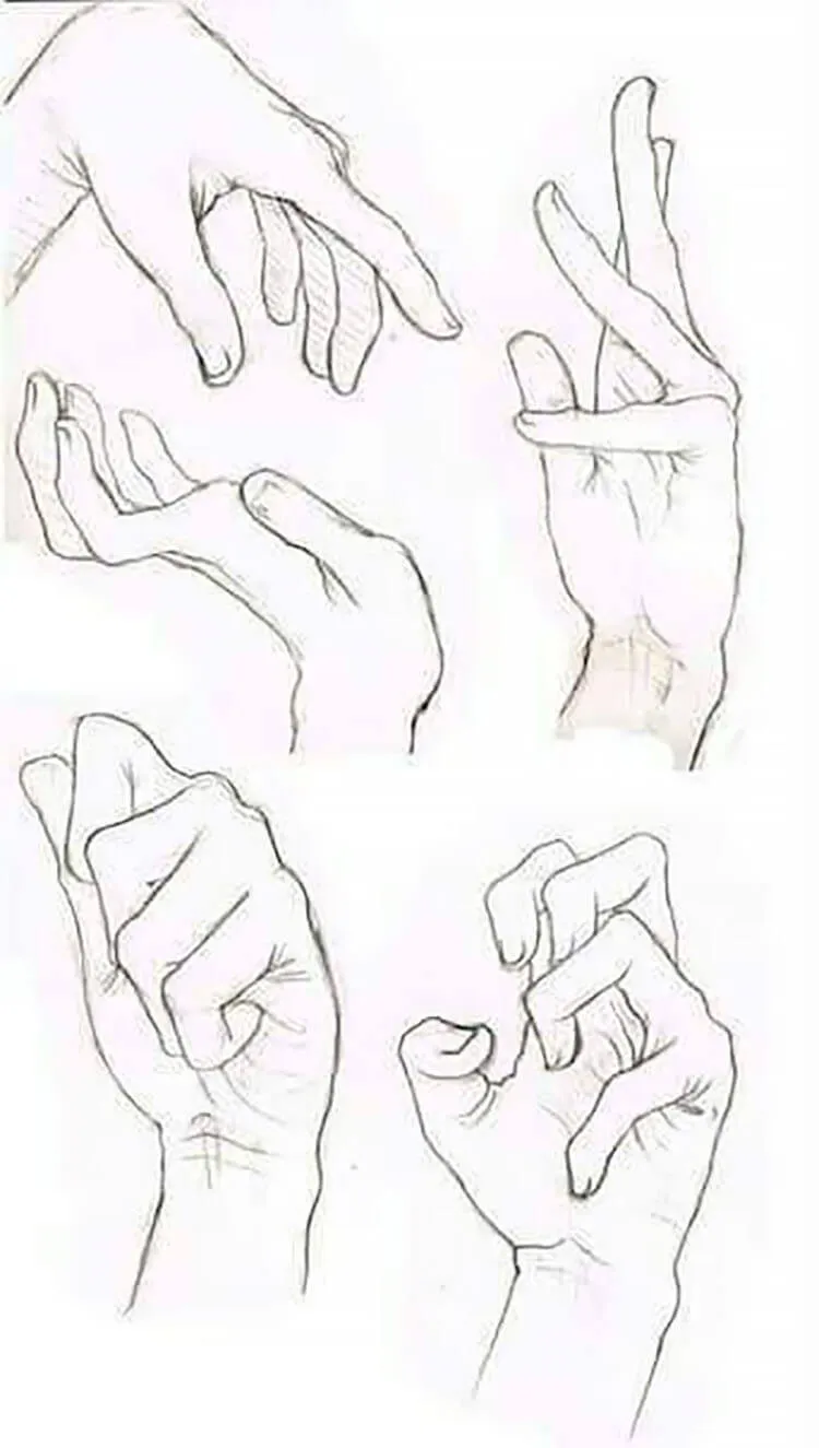 手の解剖学