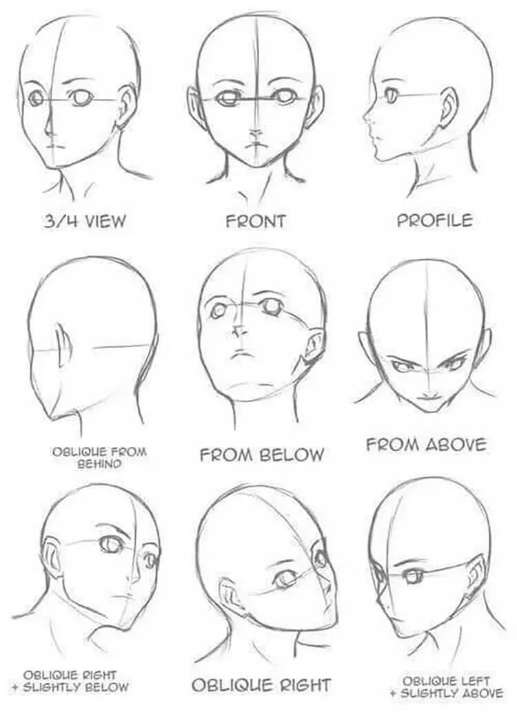 anatomia twarzy