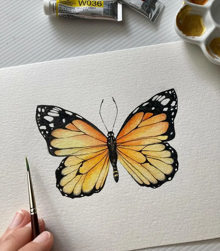 mariposa monarca de acuarela
