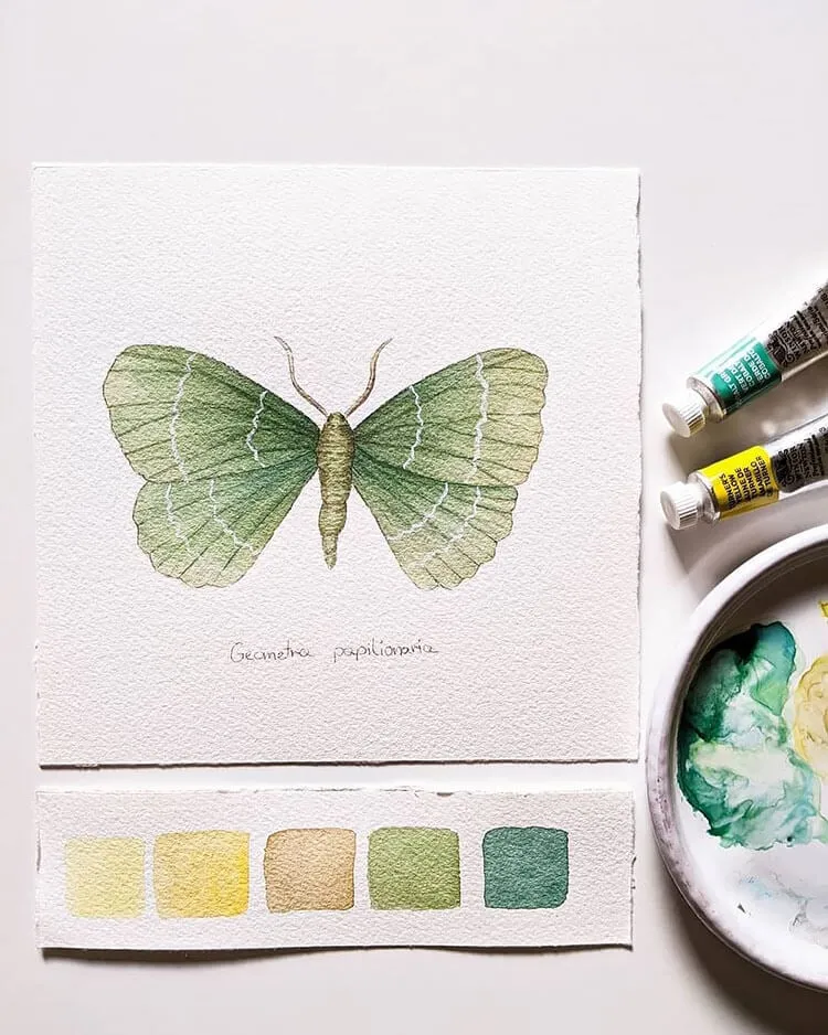 mariposa esmeralda de acuarela