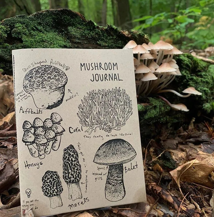 Diario dei funghi