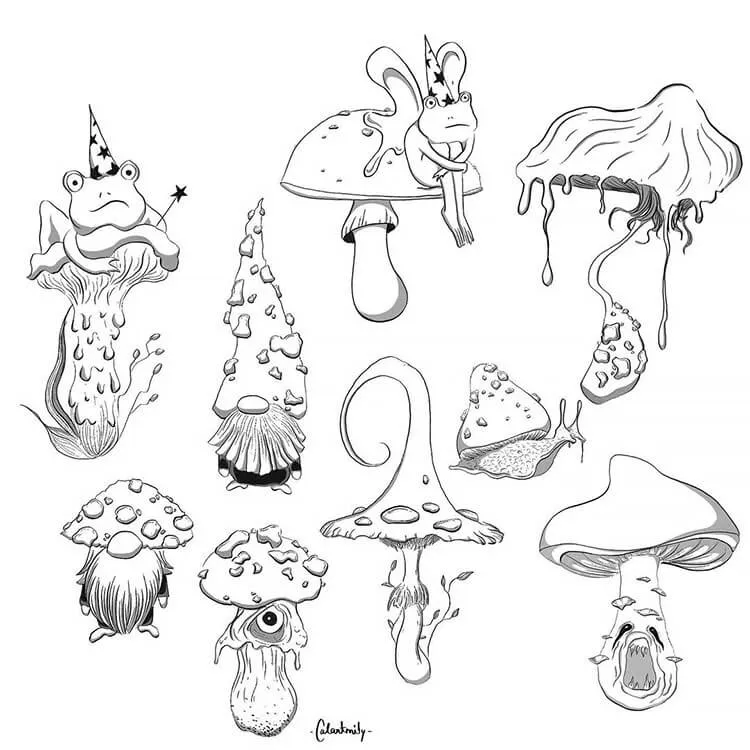 Pilze und Kröten