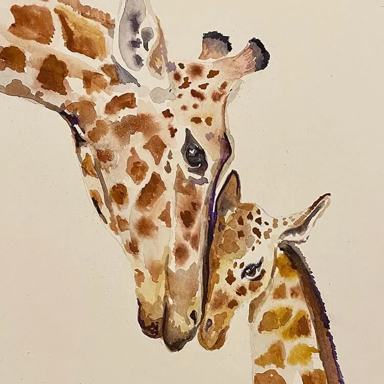 akvarel giraffer