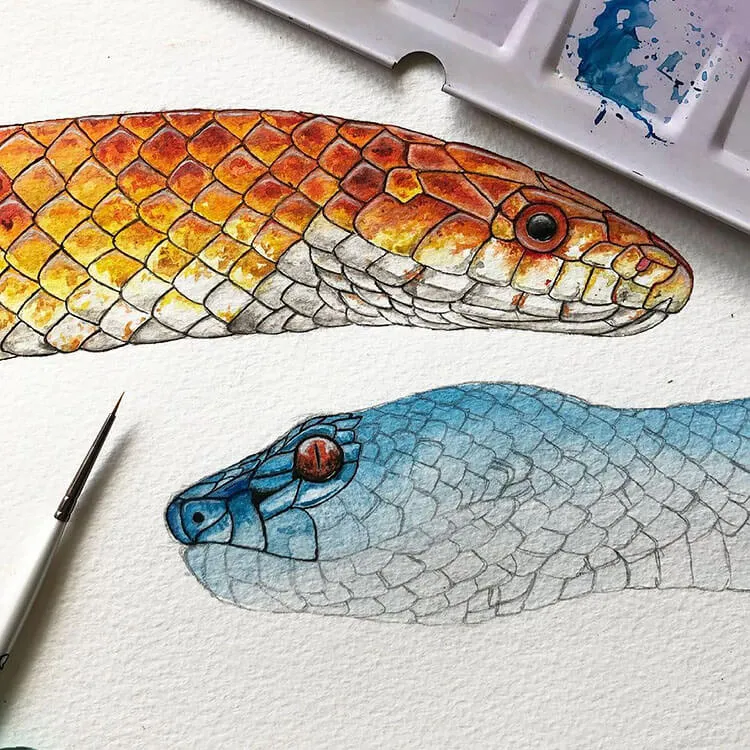 zwei aquarellierte Schlangen
