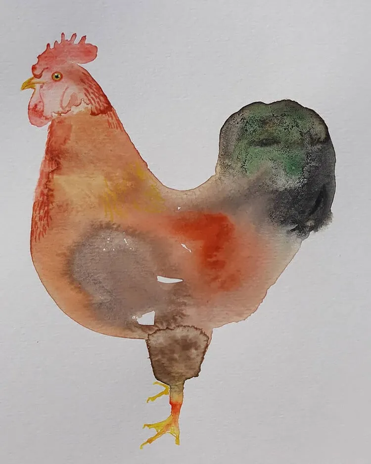 piščanec v akvarelu