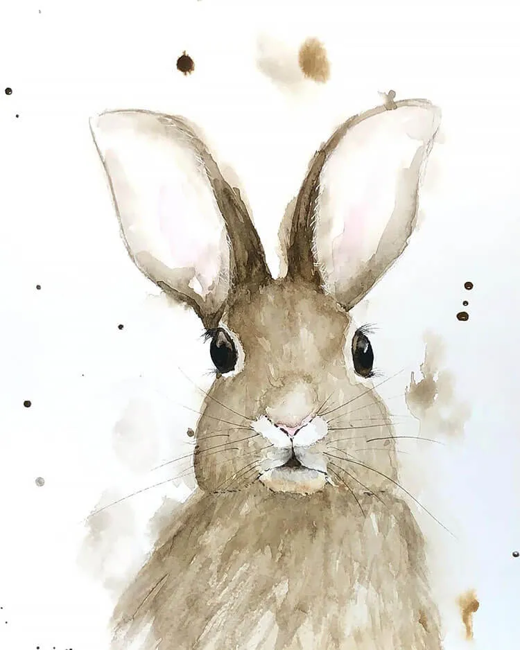 akvarel zajíc