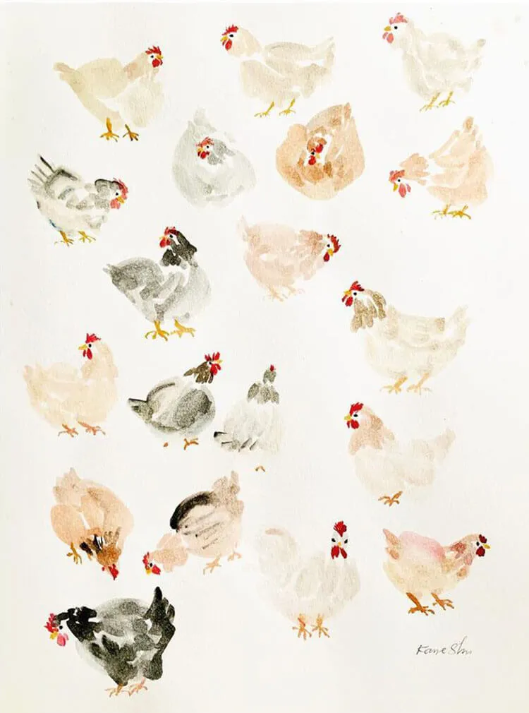 akvarel høns
