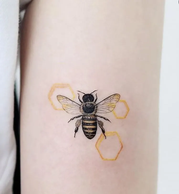 бджола з сотами