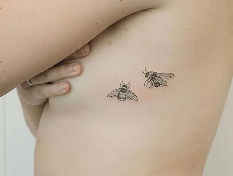 дві бджоли