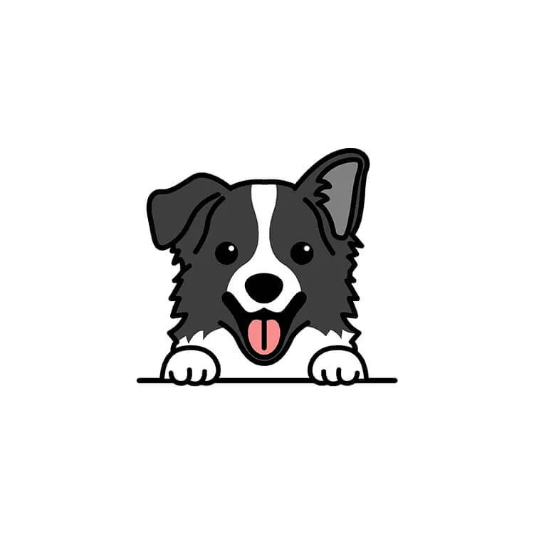 Menggambar Border Collie