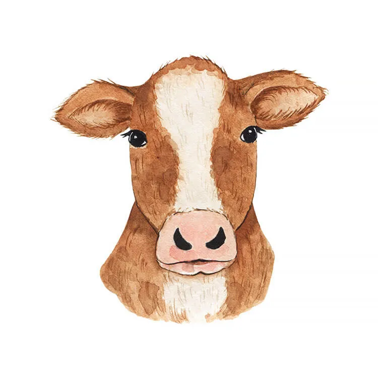 Vaca castanha Desenho de uma cara