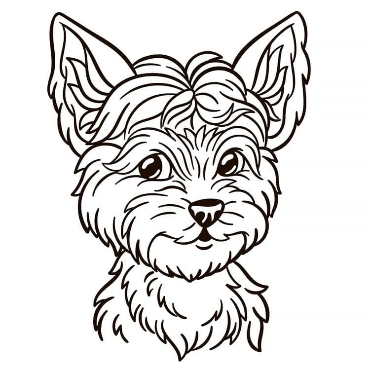 Yorkie hund tegning