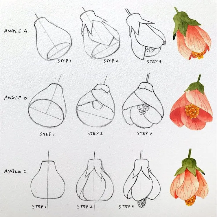 Hvordan man tegner en blomstrende Maple