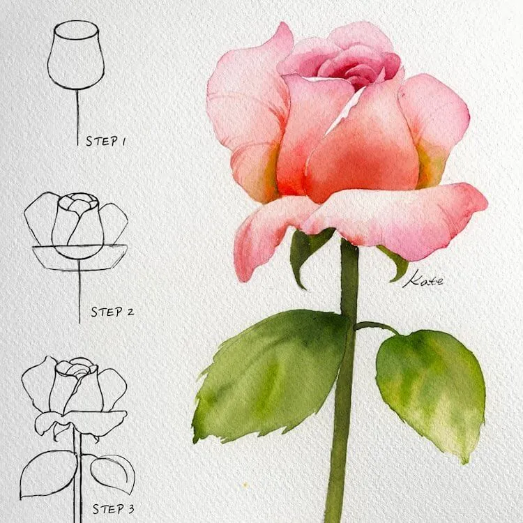 Cara Menggambar Mawar