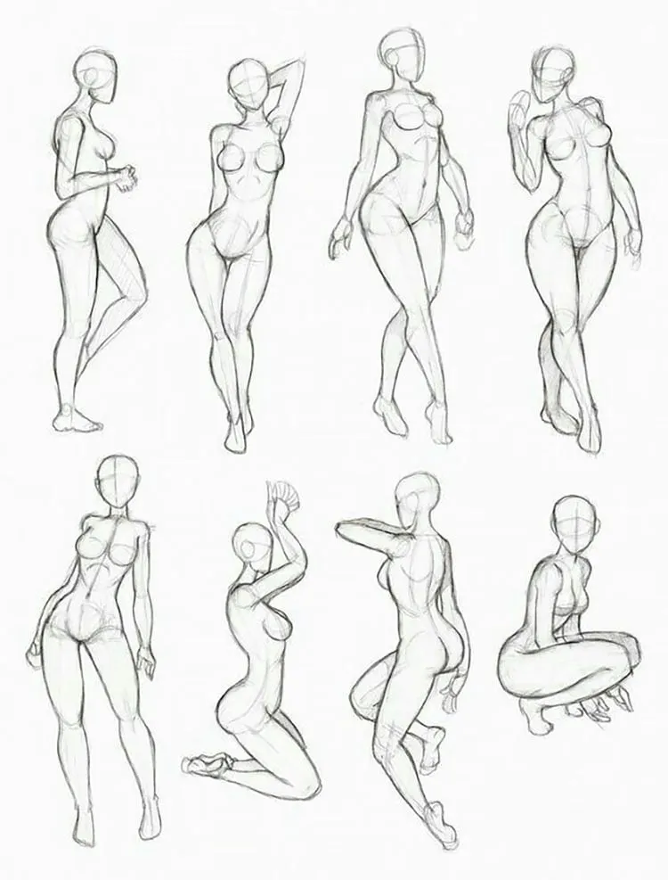 女性の体の解剖学