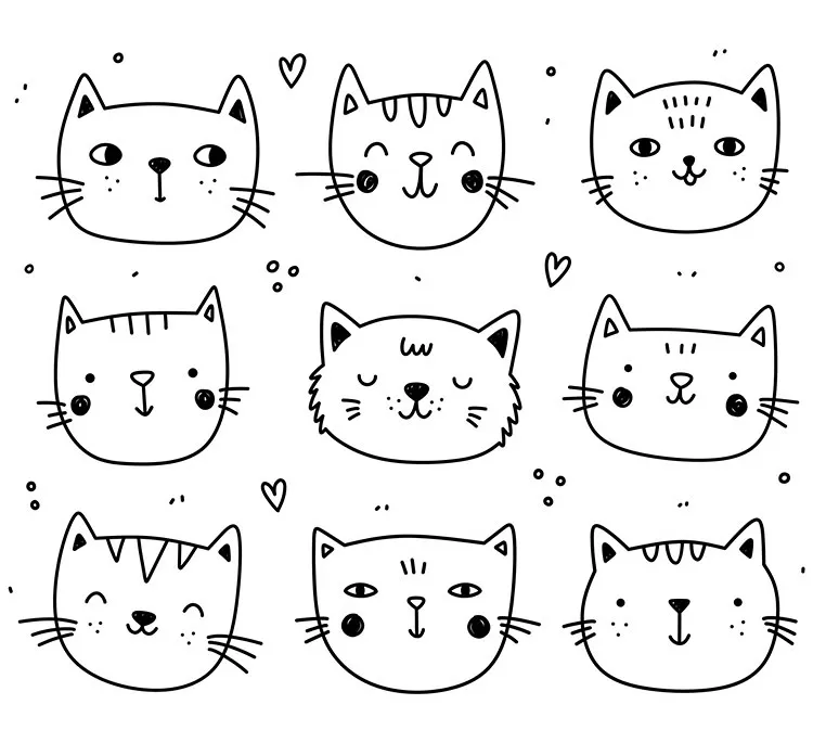 Schattige kattengezichten