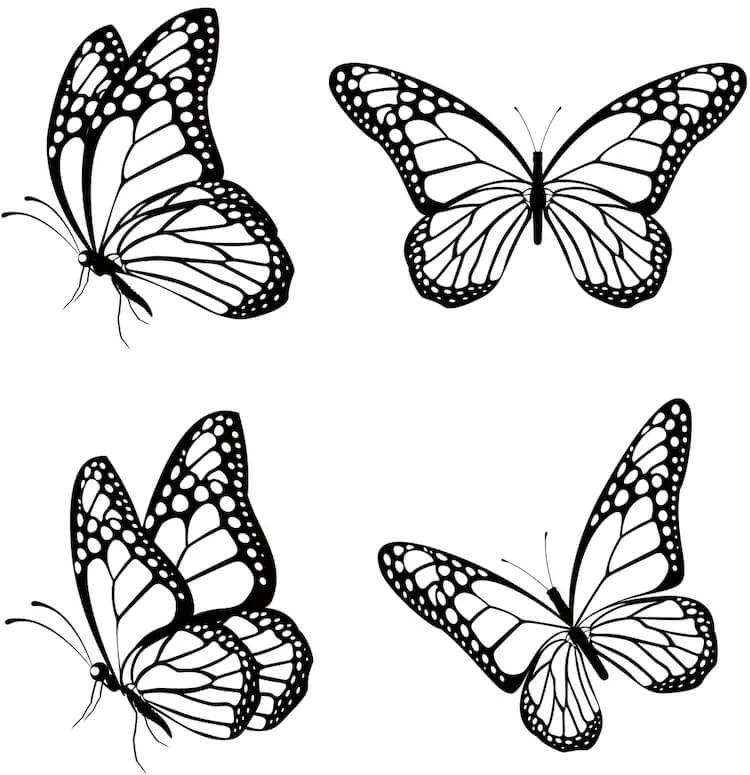 Quatro poses de borboleta