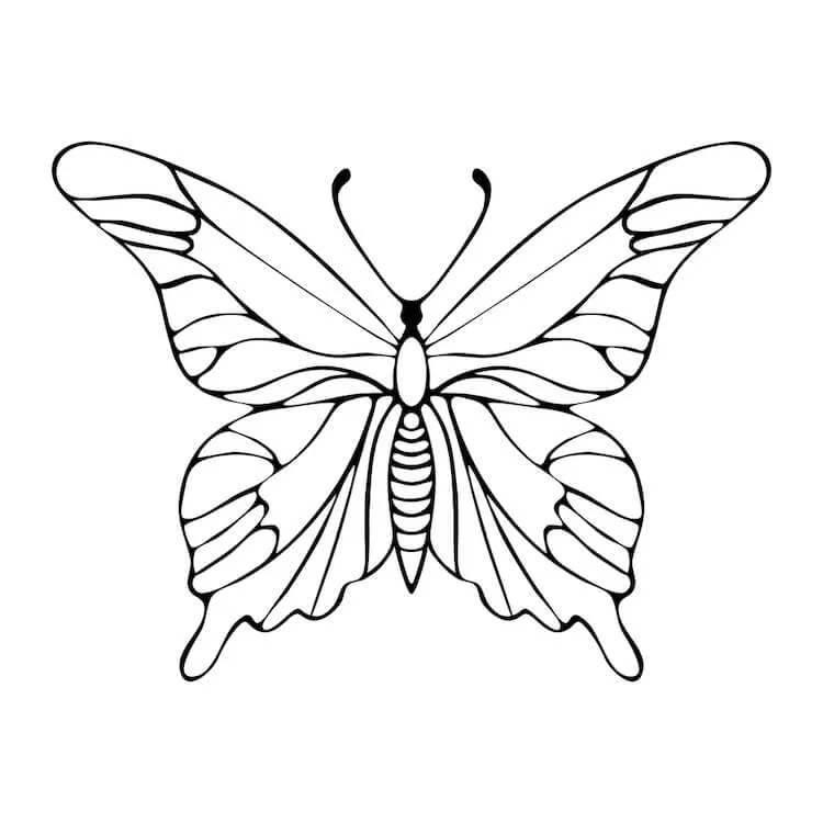 Dibujo de Mariposa para Principiantes