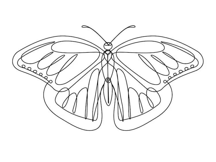 Motýľ so súvislou čiarou