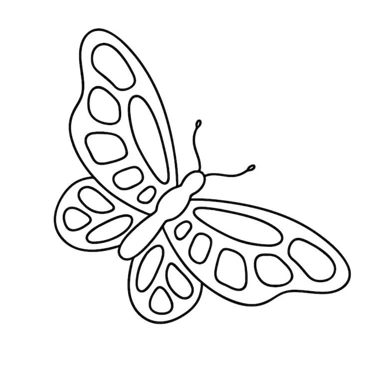 easy butterfly drawing