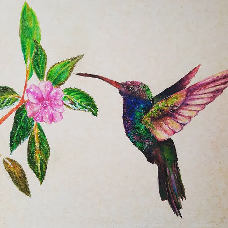pintura colibrí
